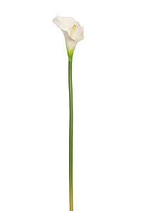 VARA CALA ARTIFICIAL 70CM