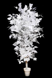 ARBOL ARTIFICIAL BLANCO ARCE 190CM