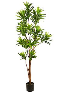 DRACENA EN MACETA ARTIFICIAL 160CMNM