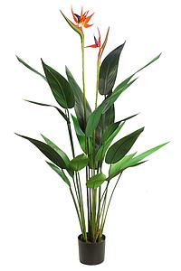 PLANTA DE ESTERLICIA ARTIFICIAL 135CM