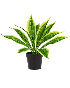 PLANTA DIFFEMBACHIA CON MACETA ARTIFICIAL 40CM