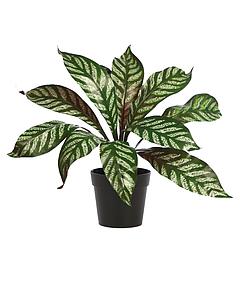 MACETA DE APELANDRA ARTIFICIAL 40CM