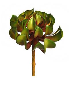 CRASA ELEGANCE ECHEVERIA ARTIFICIAL 16CM