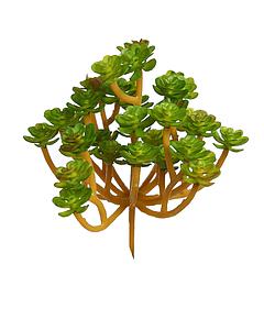 SUCULENTA ECHEVERIA ARTIFICIAL 13CM