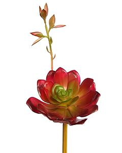  ECHEVERIA COLORATA BROTE ARTIFICIAL 14CM