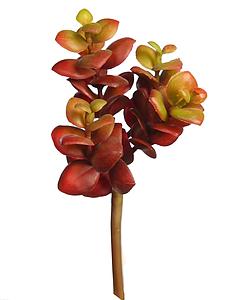 PLANTA SEDUM SUCULENTA ARTIFICIAL 17CM