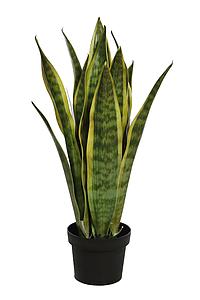 SANSEVIERIA EN MACETA ARTIFICIAL 62CM