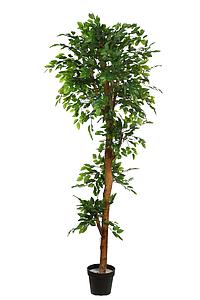ARBOL DE FICUS VERDE ARTIFICIAL 180CM
