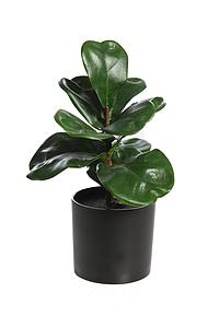 MINI FICUS LYRATA ARTIFICIAL 27CM