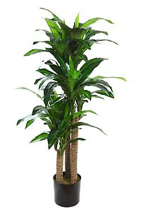 PLANTA DRACENA ARTIFICIAL 140CM 