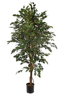 ARBOL DE FICUS ARTIFICIAL 180CM