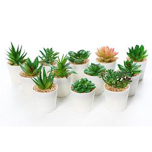 CAJA CACTUS MINI ARTIFICIAL  12 PCS 
