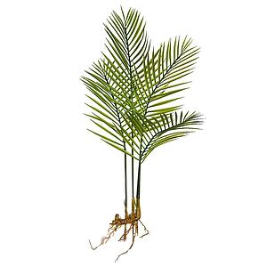 PLAMERA RAICES ARTIFICIAL 70CM