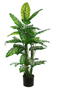DIEFFENBACHIA ARTIFICIAL 120CM