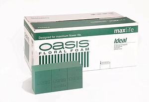 CAJA ESPONJA AGUA OASIS IDEAL 20 TACOS