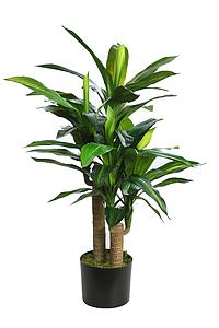 PLANTA DRACENA ARTIFICIAL 90CM