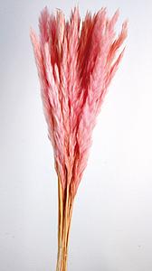 POMO PLUMA DECORATIVA 50/60CM