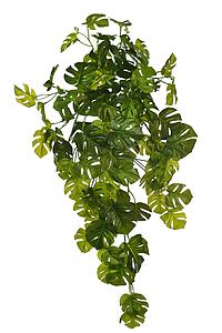 COLGANTE MONSTERA ARTIFICIAL TACTO NATURAL 70CM