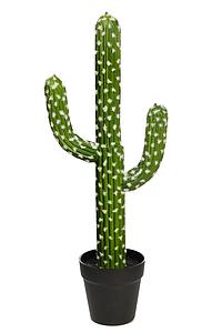 CACTUS SAN PEDRO ARTIFICIAL 62CM