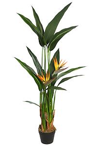 AVE DEL PARAISO ARTIFICIAL 135CM