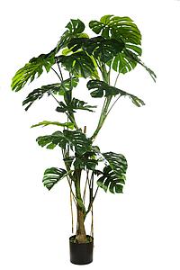 MONSTERA ARTIFICIAL 200CM