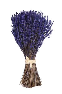 CENTRO LAVANDA 46CM 