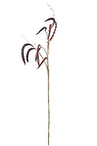 VARA VAINAS ARTIFICIAL 