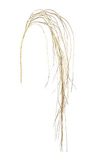 COLGANTE SAUCE 150CM