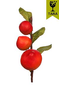 VARA DE FRUTA MELOCOTON