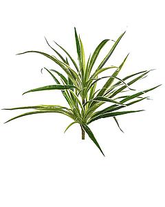 PLANTA CINTA CLOROFITO ARTIFICIAL 38CM